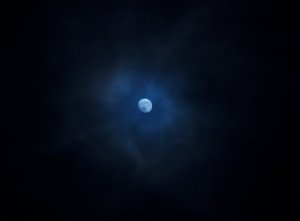 Moon in my backyard