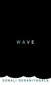 Wave book cover