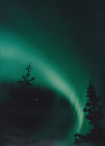 Northern Lights and trees